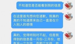 爆料盒子 吃瓜,揭秘娱乐圈最新吃瓜大事件！