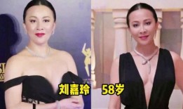 =明星演艺圈竞争激烈 每日有料,每日有料揭秘明星竞争激烈幕后