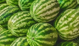 社会十大潜规则 吃瓜--大赛每日芋圆呀呀吃瓜,吃瓜大赛，芋圆呀呀带你领略“潜”规则魅力